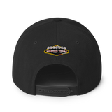 Warner Vegas Snapback Hat