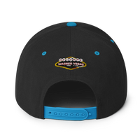 Warner Vegas Snapback Hat