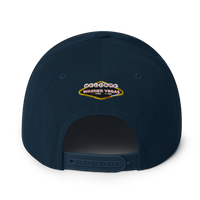 Warner Vegas Snapback Hat