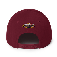 Warner Vegas Snapback Hat