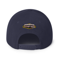 Warner Vegas Snapback Hat