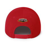 Warner Vegas Snapback Hat